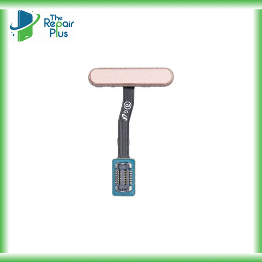 For Samsung Galaxy S10e G970 Replacement Power And Fingerprint Reader With Flex Cable (Flamingo Pink)